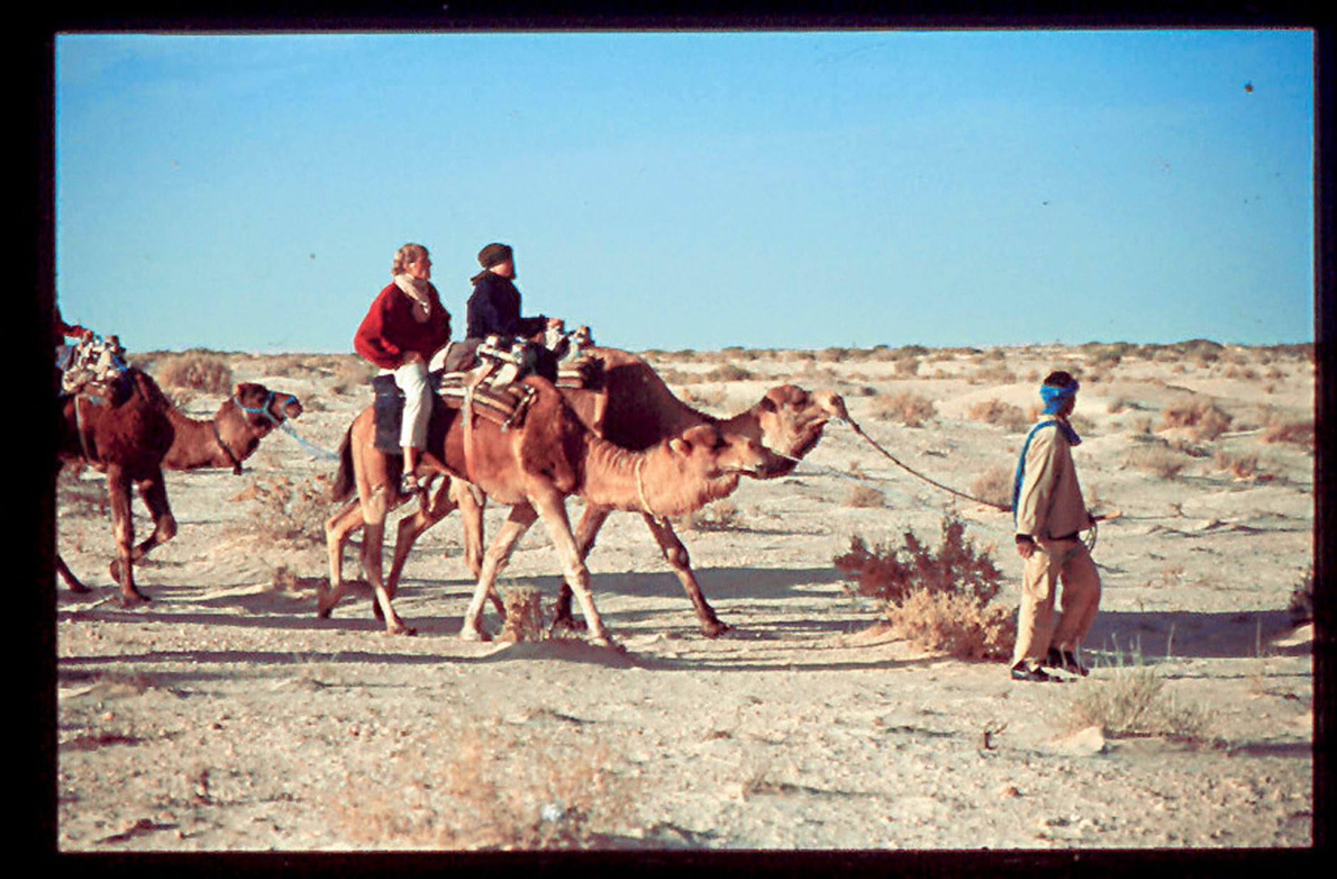 Turystyka off-road: gdzie warto wyjechać, Europa czy Afryka?