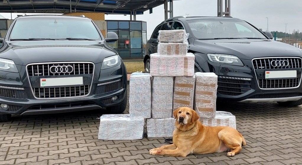 Pies celników wykrył przemycane papierosy