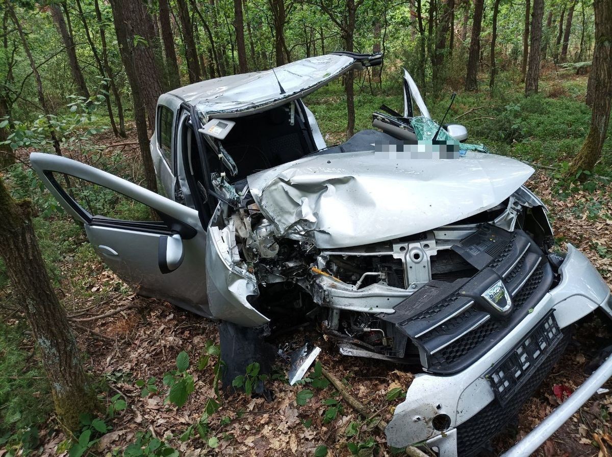 Tak wygląda auto osobowe po zderzeniu z łosiem