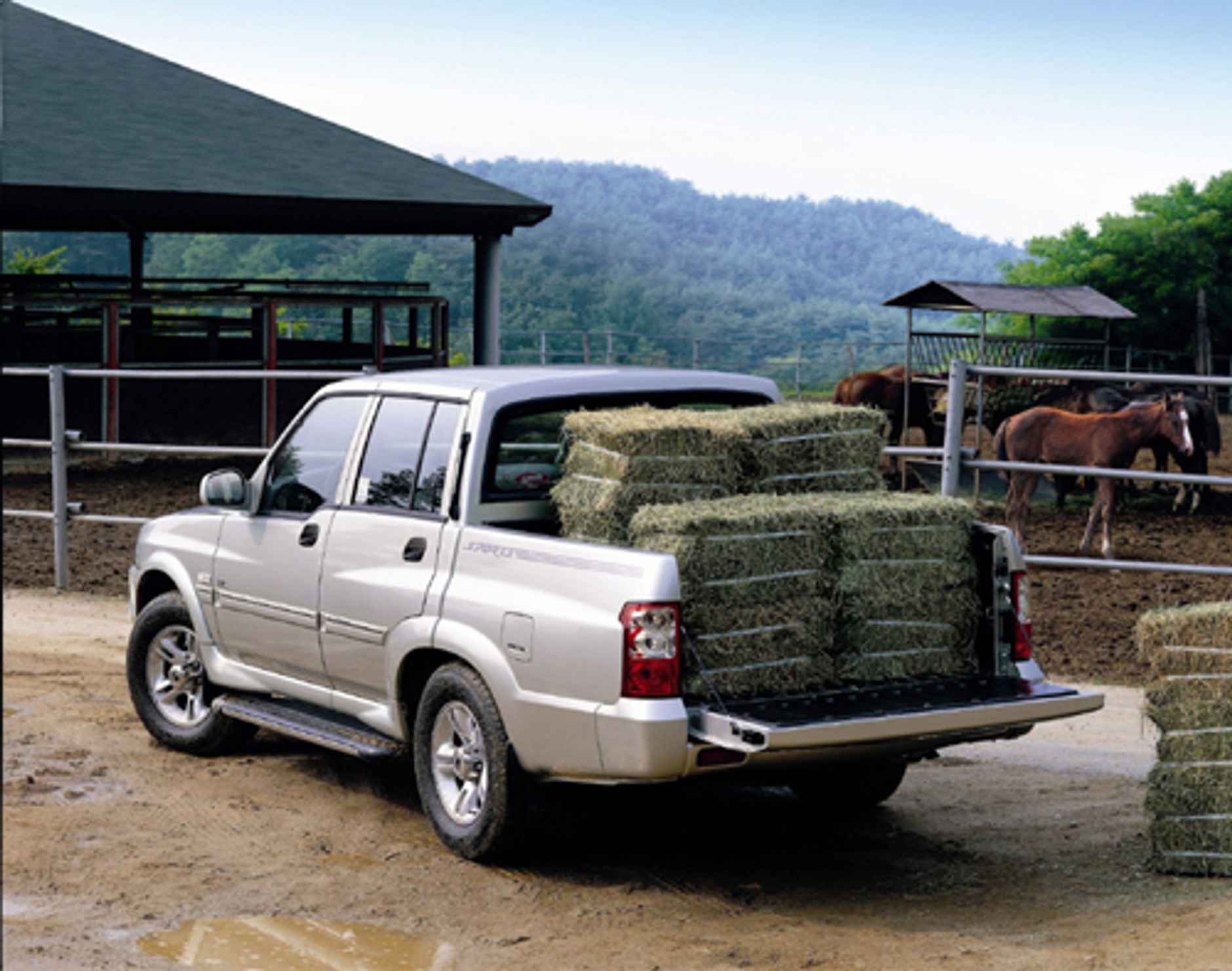 Pikapy mają wzięcie! Prezentujemy najpopularniejsze na rynku aut używanych