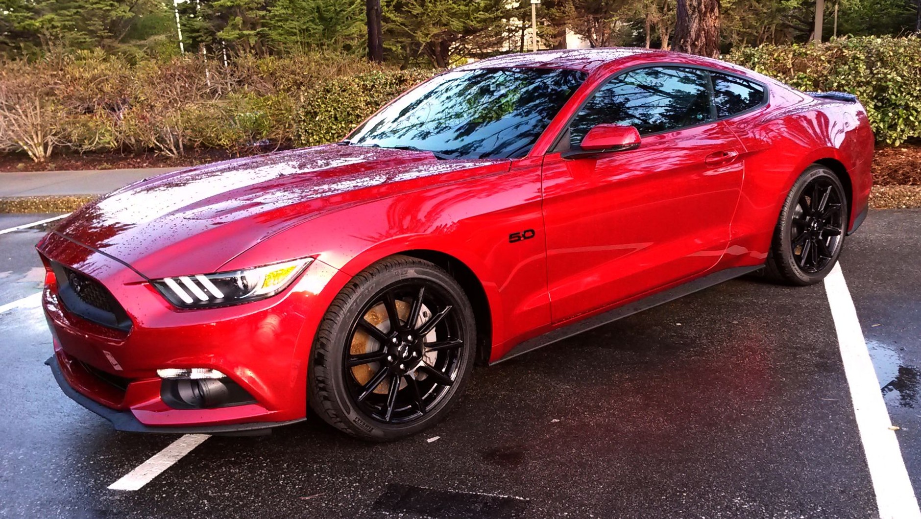 Ford Mustang V8
