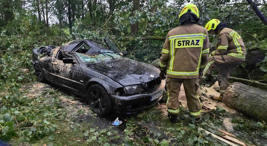 Drzewo runęło na BMW