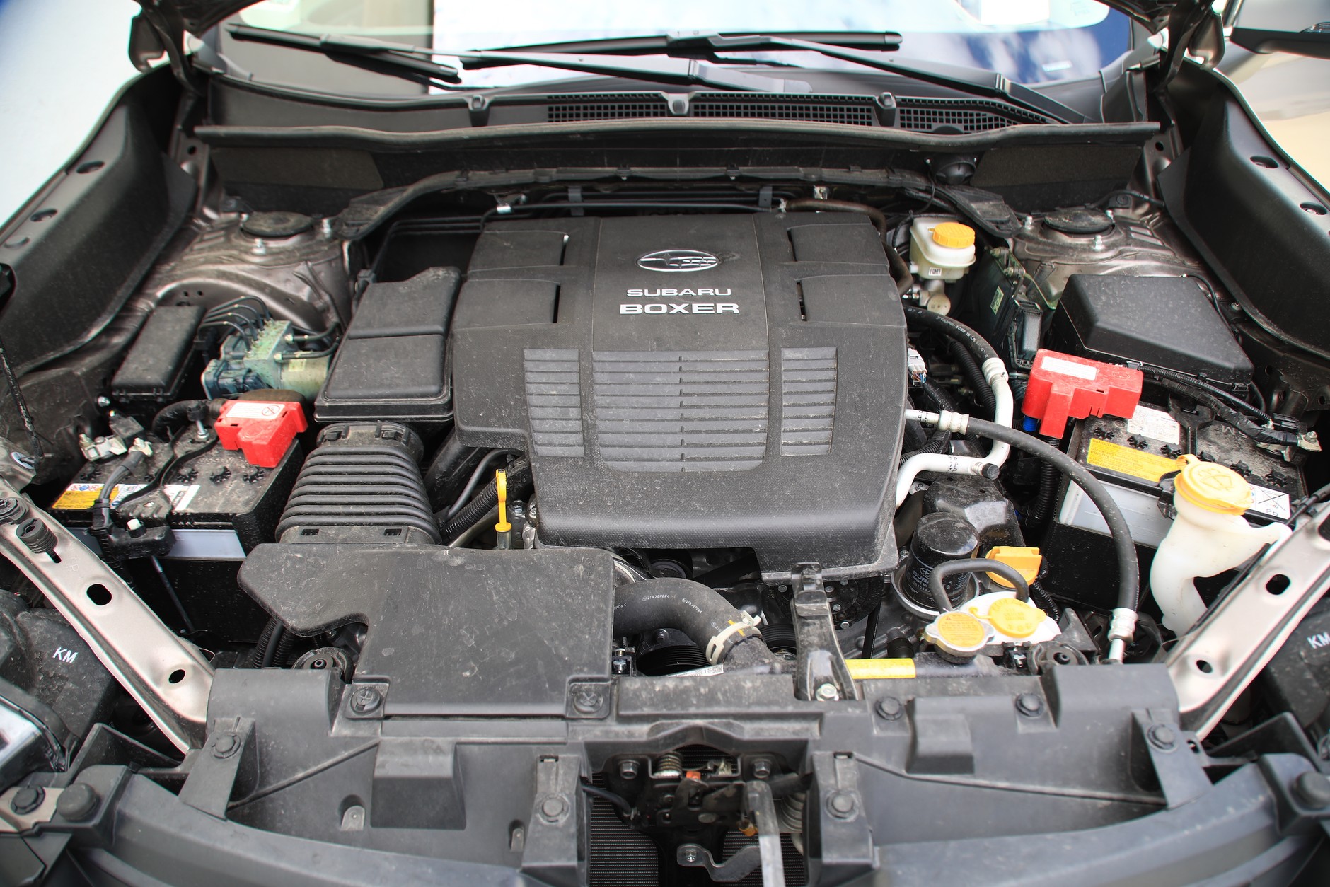 Subaru Forester 2.0 e-Boxer Platinum