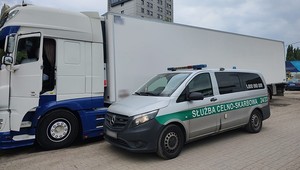 Holenderski przewoźnik musiał wpłacić rekordową kaucję za brak opłat e-TOLL