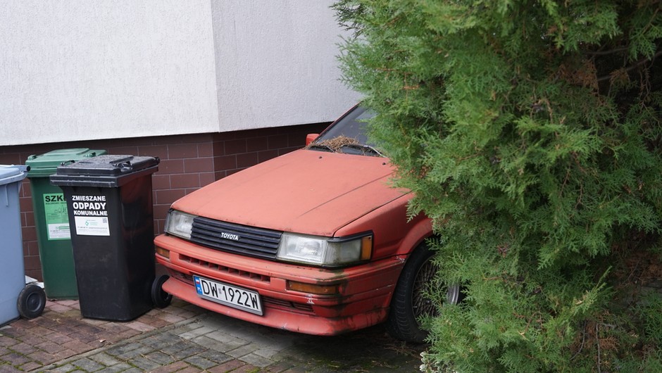 Ratujemy hachi - pierwszy pomysł