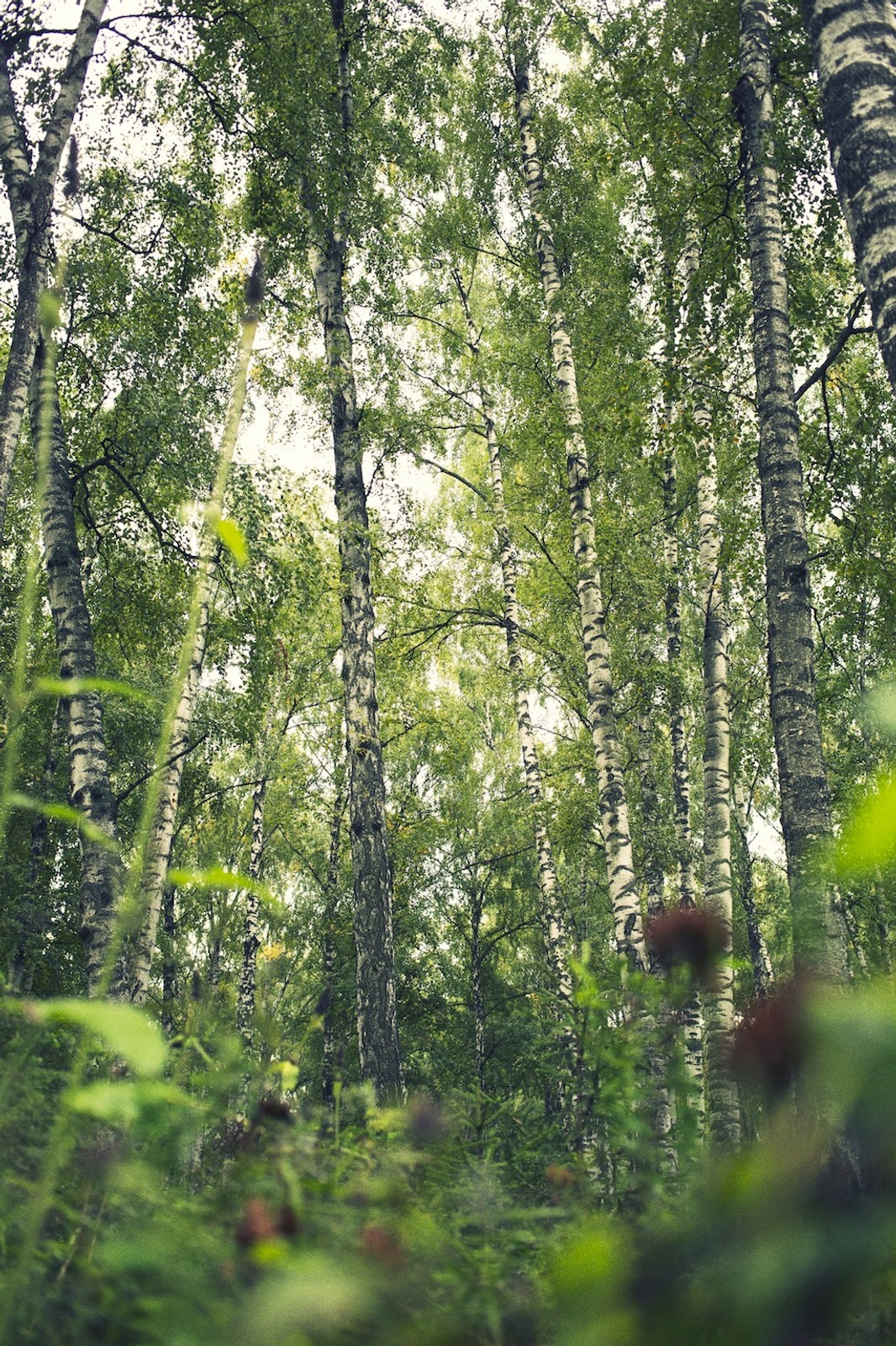 Nowa Mazda 3 na Syberii