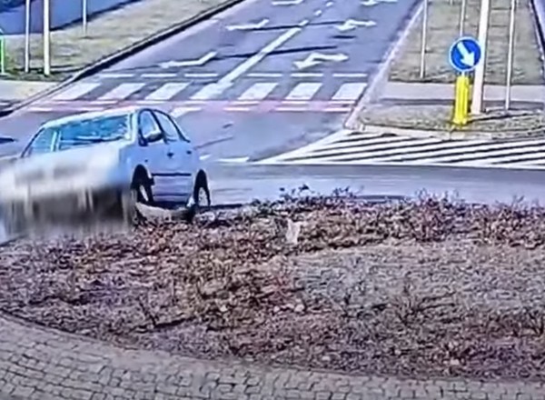 Senior jechał z "lodową przyłbicą". Rozbił auto na rondzie [WIDEO]