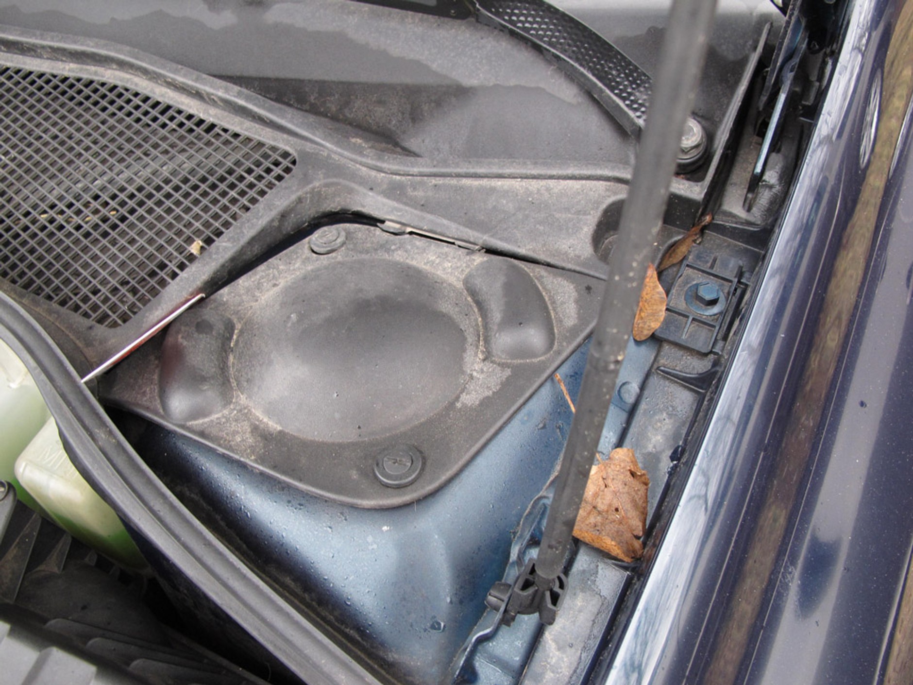 Szukamy auta z ogłoszenia: Laguna jak brytyjski szpieg udający Francuza