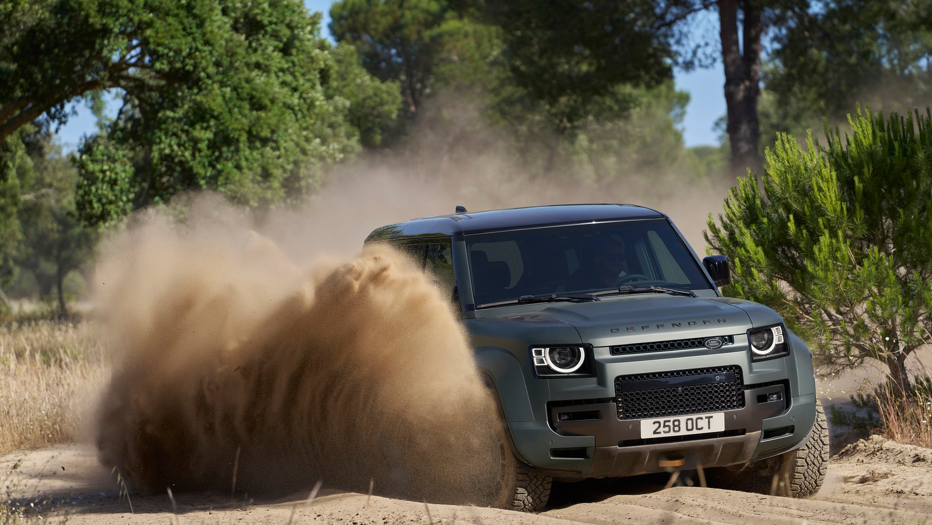 Defender OCTA