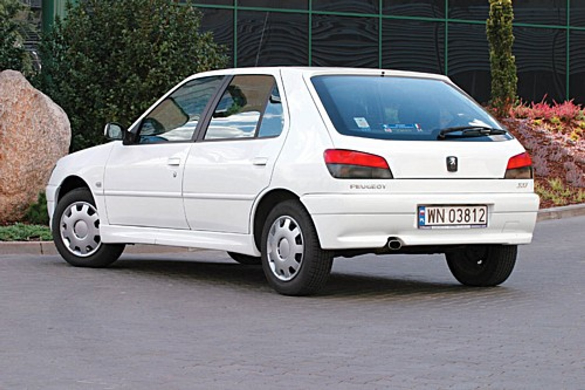 Ze środka lwiej gamy