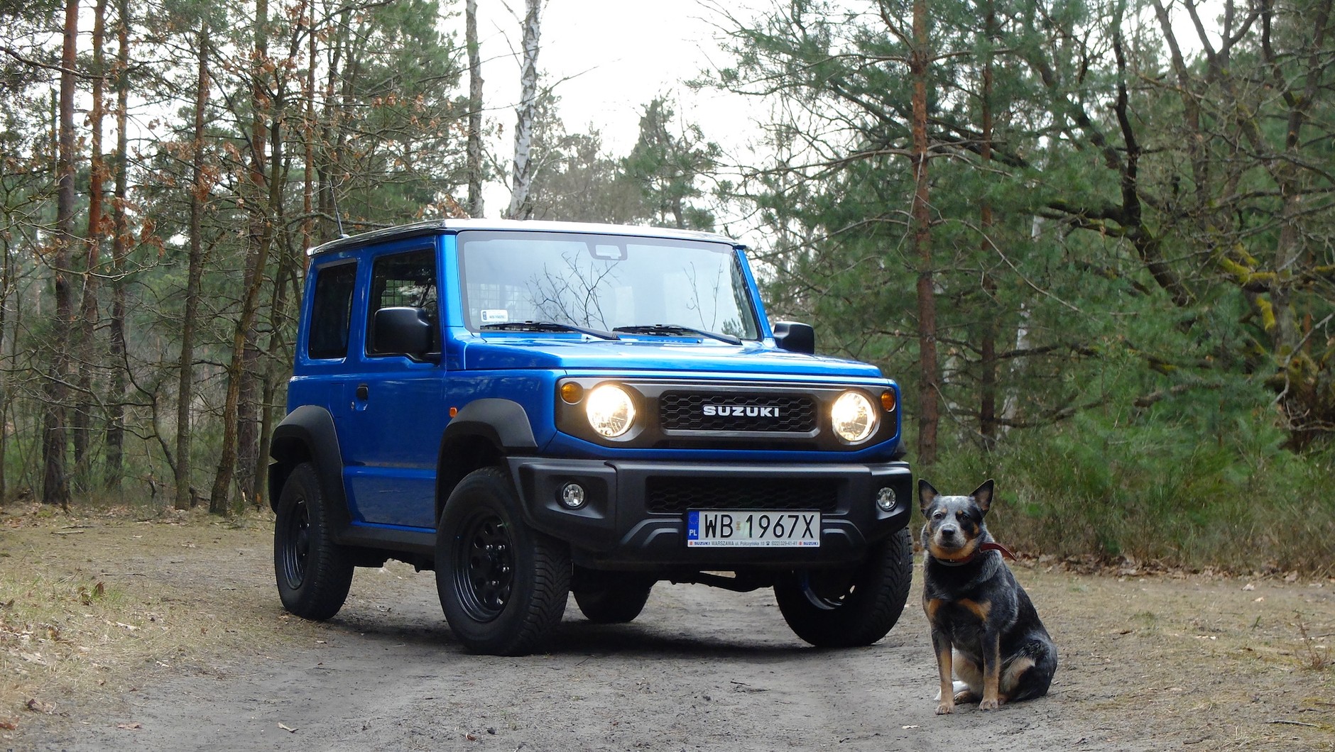 Suzuki Jimny: auto, które z łatwością mieści.., niedużego psa. Ale za to pozwoli zawieźć go niemal wszędzie. 