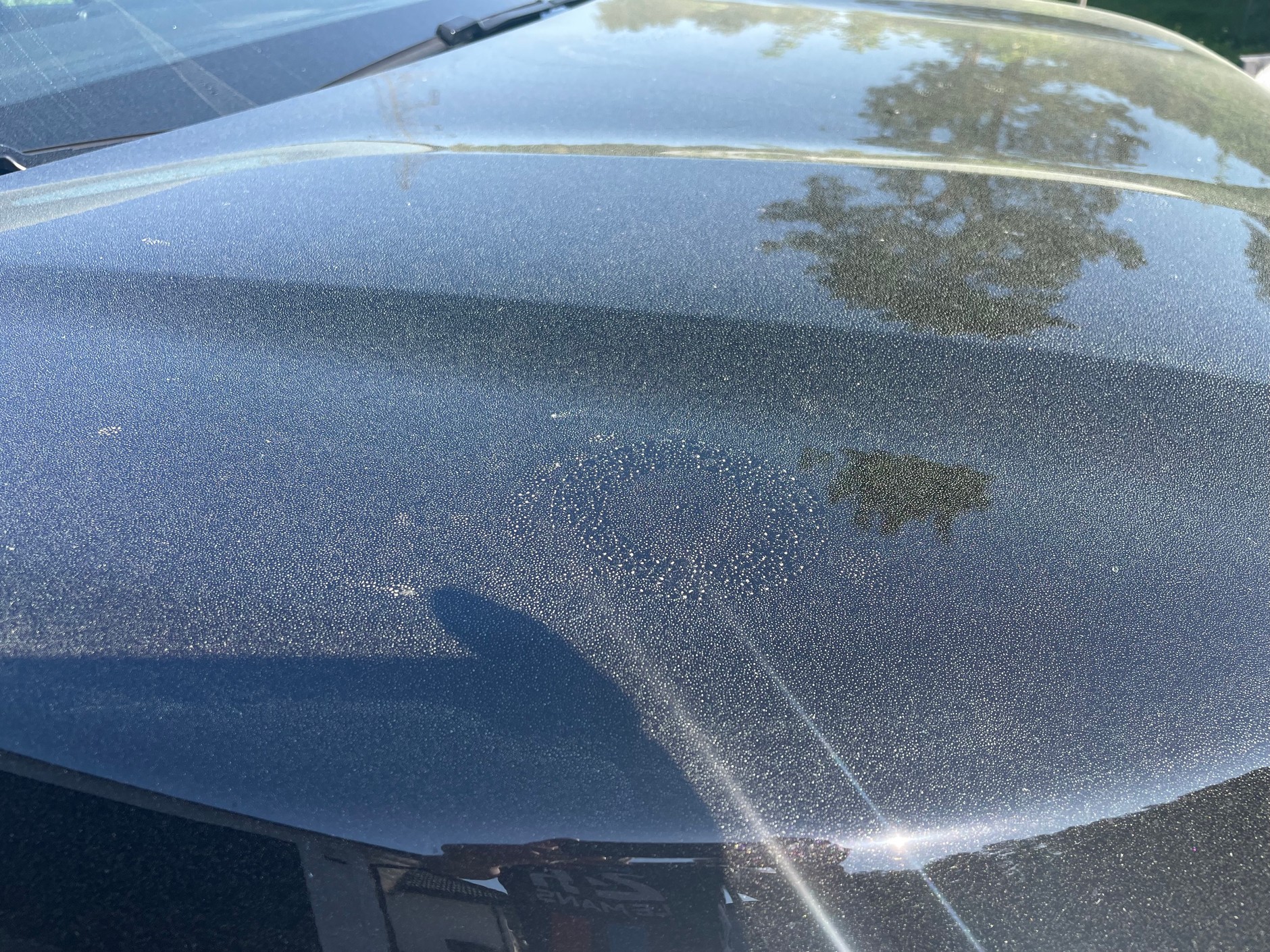 Żółty pył na samochodach