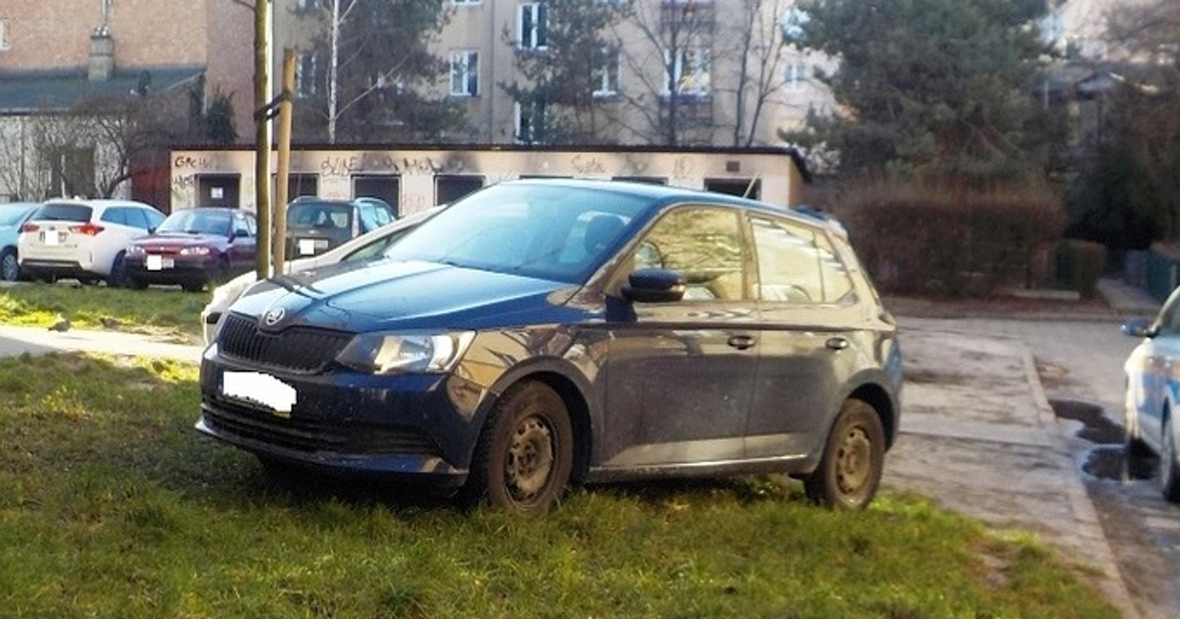 Parkowanie na trawniku niemal zawsze może zostać ukarane