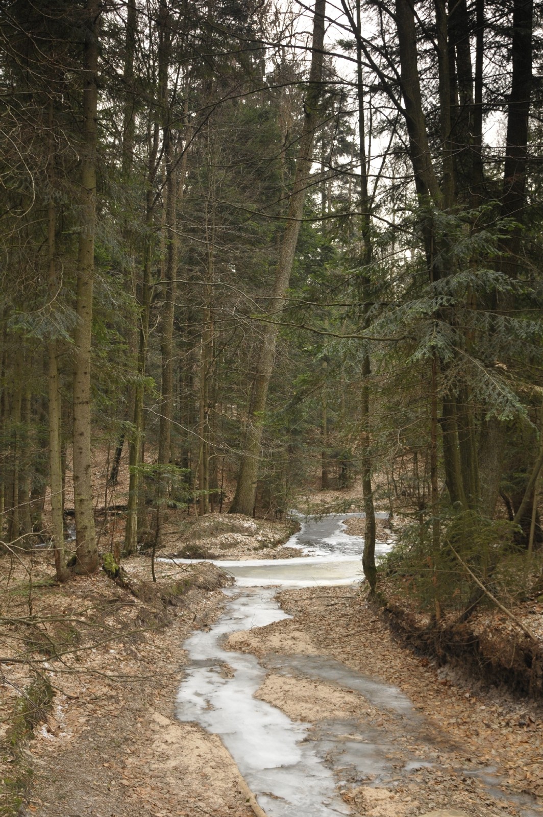 Terenowe zwiedzanie Polski