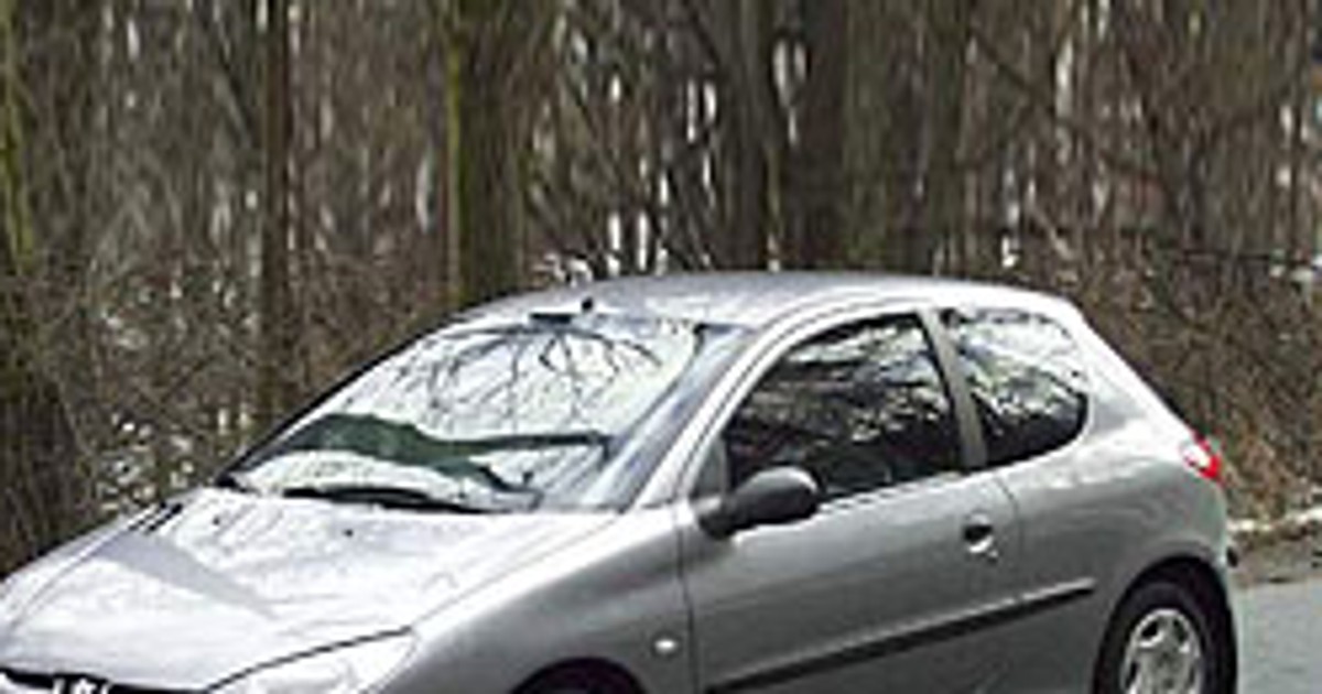 Peugeot 206 (1998-do dziś) - Lwie serce