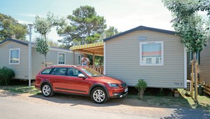 Skoda Octavia Scout: rodzinny długodystansowiec