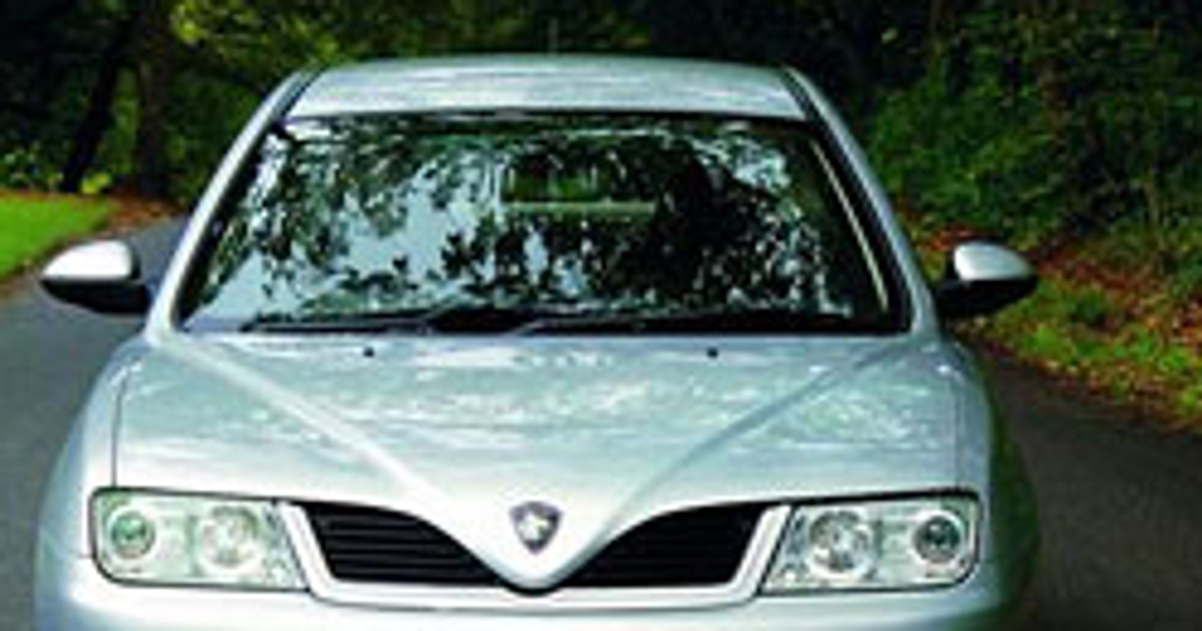 Facelifting Protona Impian