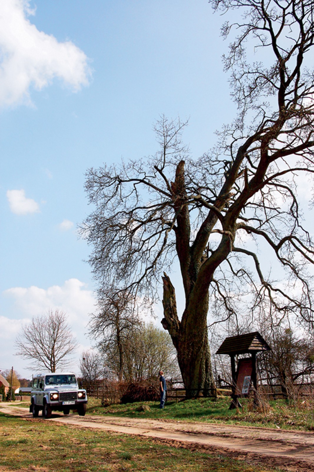 Defenderem borem, lasem...