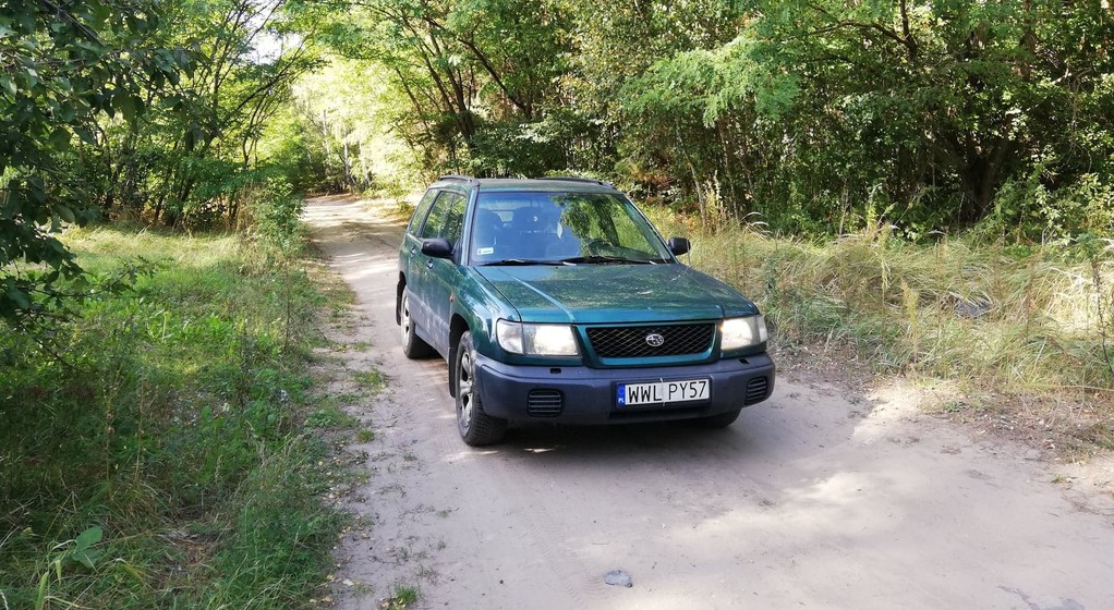 Droga leśna czy polna?