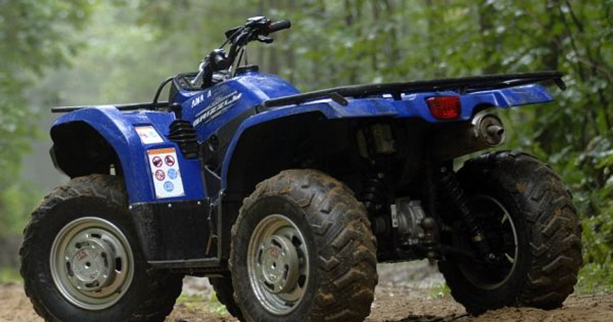 Yamaha Grizzly 450