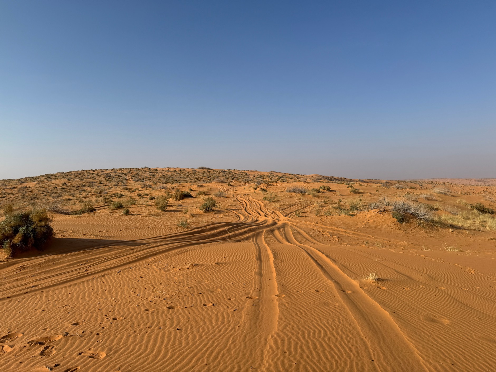 Toyota Land Cruiser 300 w Arabii Saudyjskiej