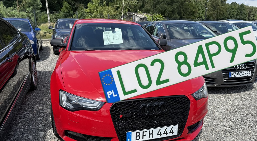 Zielone tablice rejestracyjne