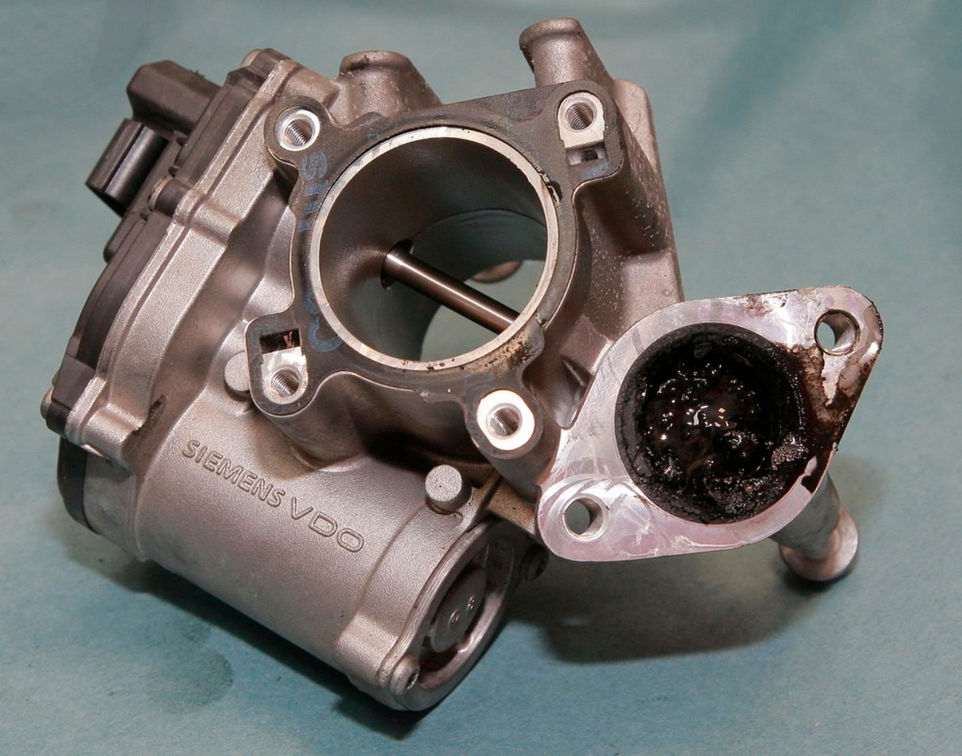 Scenic | Co się psuje?