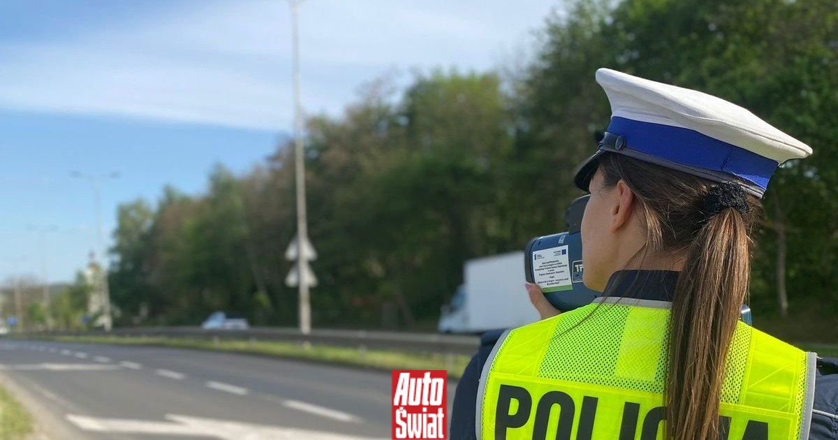 Policjanci zaglądają do samochodów i szukają dwóch rzeczy. Mandat pięć tys. zł? Wyjaśniamy