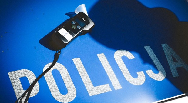 Pijanego kierowcy nie zatrzymali policjanci. "Zatrzymał" go dzik
