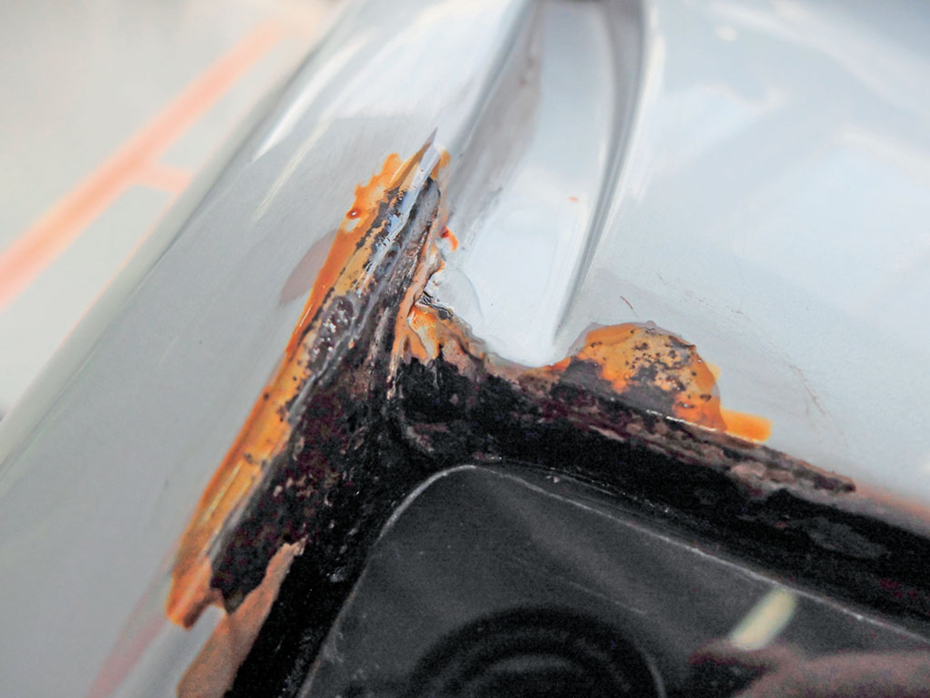 Co się kryje pod purchlem, czyli... przykra niespodzianka