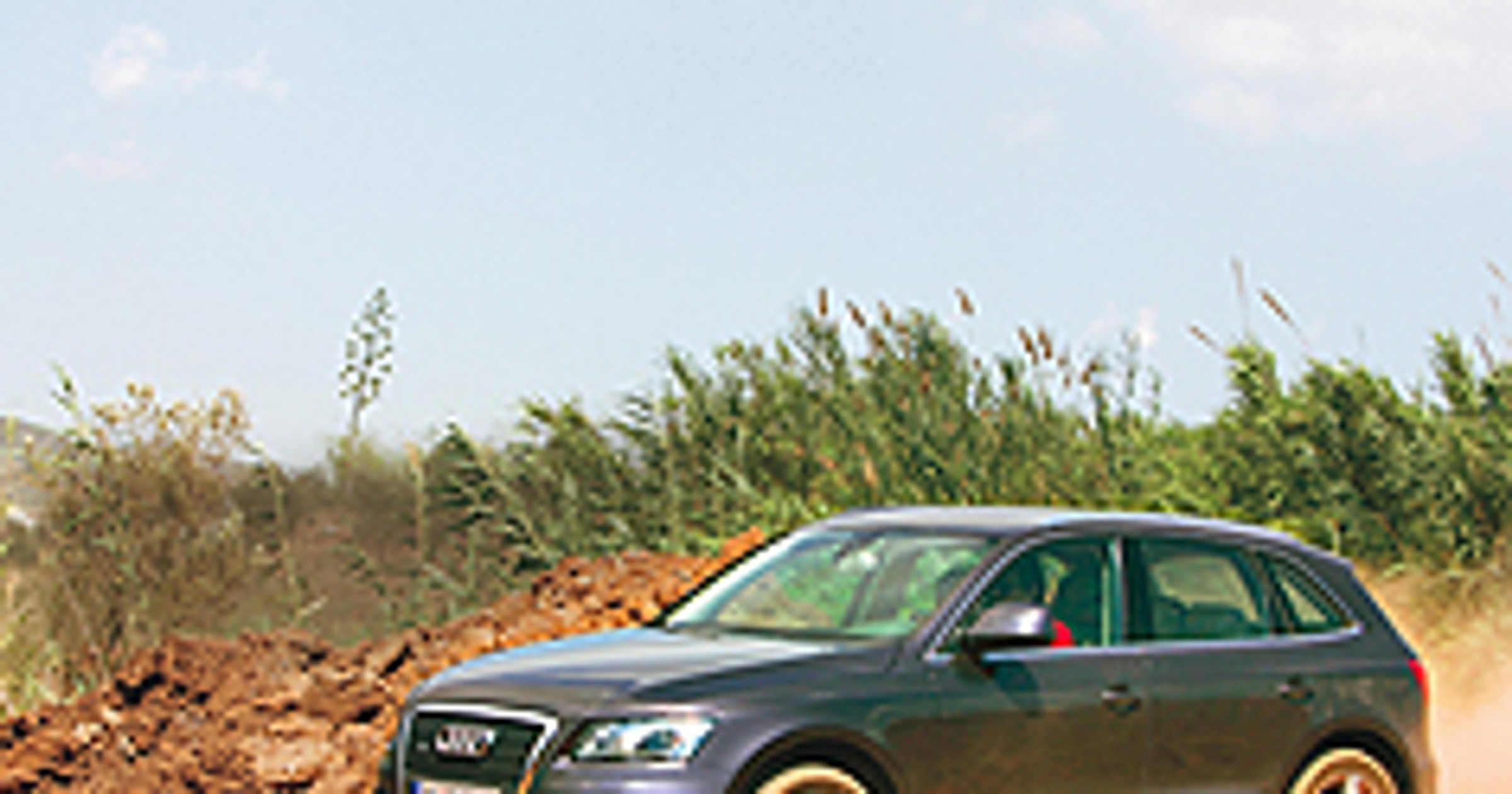 Audi Q5 - Kurz się podniesie