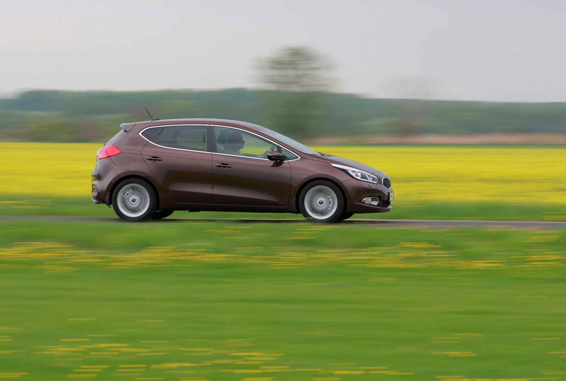 Kia ceed: spodoba się klientom