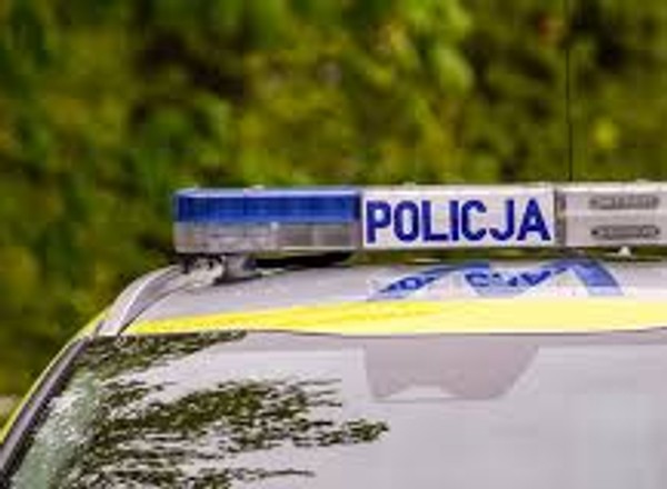 Policjanci zostali wezwani do kolizji drogowej. Konieczna była interwencja Straży Granicznej