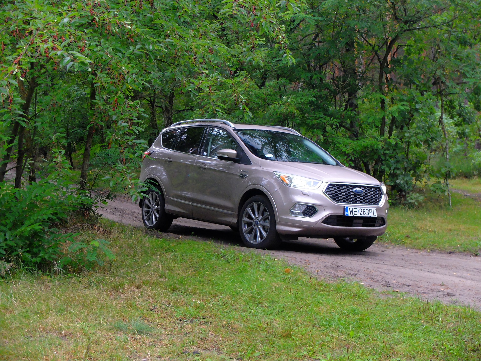 Ford Kuga Vignale