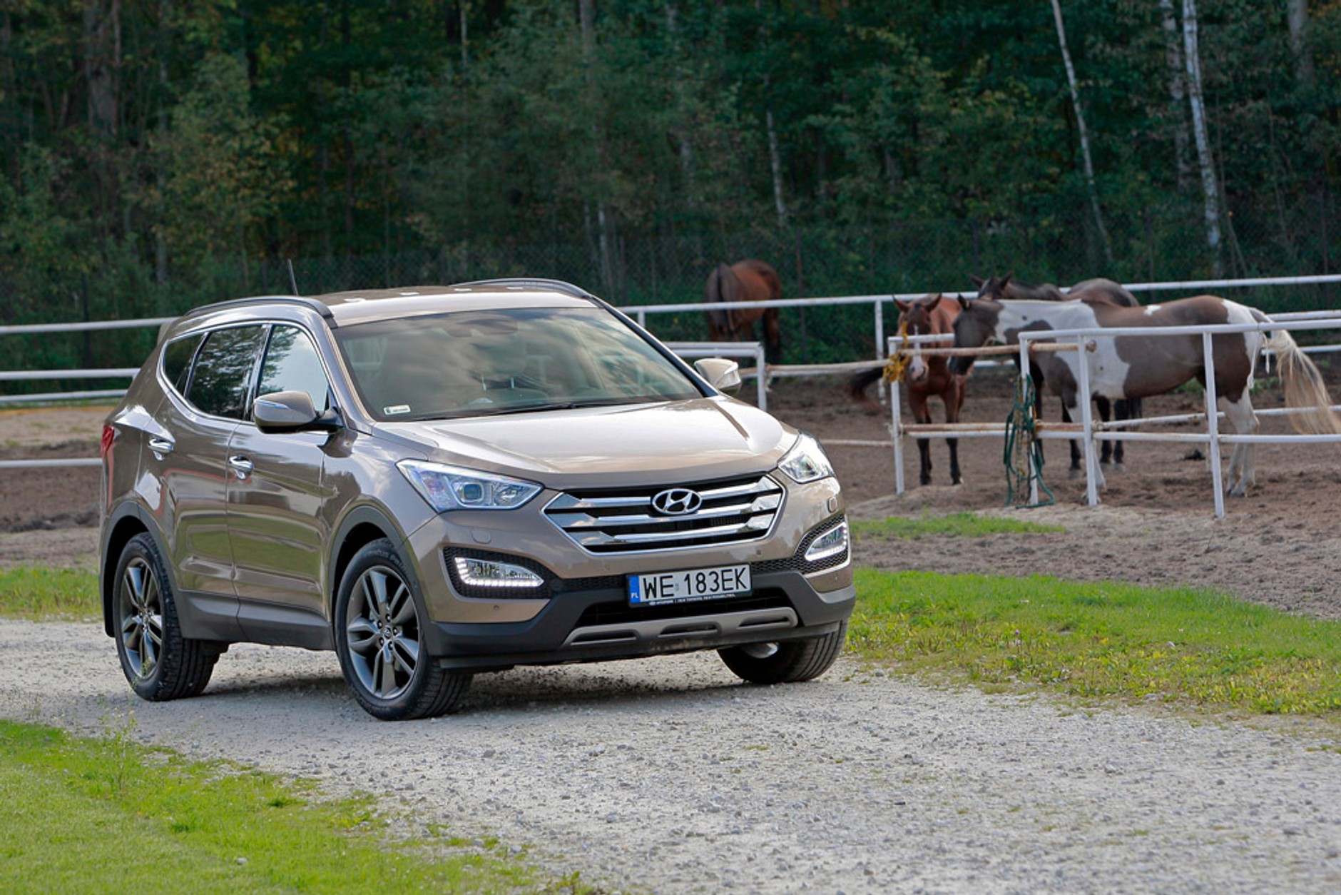 Test Hyundaia Santa Fe: drapieżny SUV