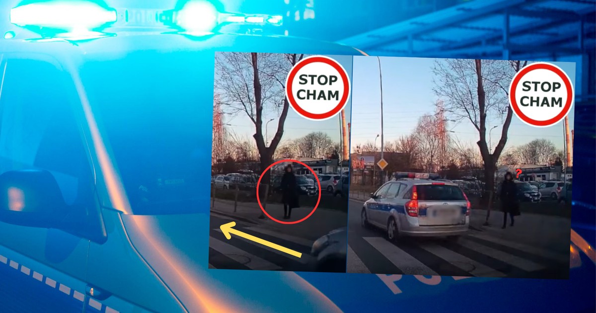 Czyn funkcjonariuszy został sfilmowany za pomocą samochodowego wideorejestratora (fot. screen z YouTube/STOP CHAM)