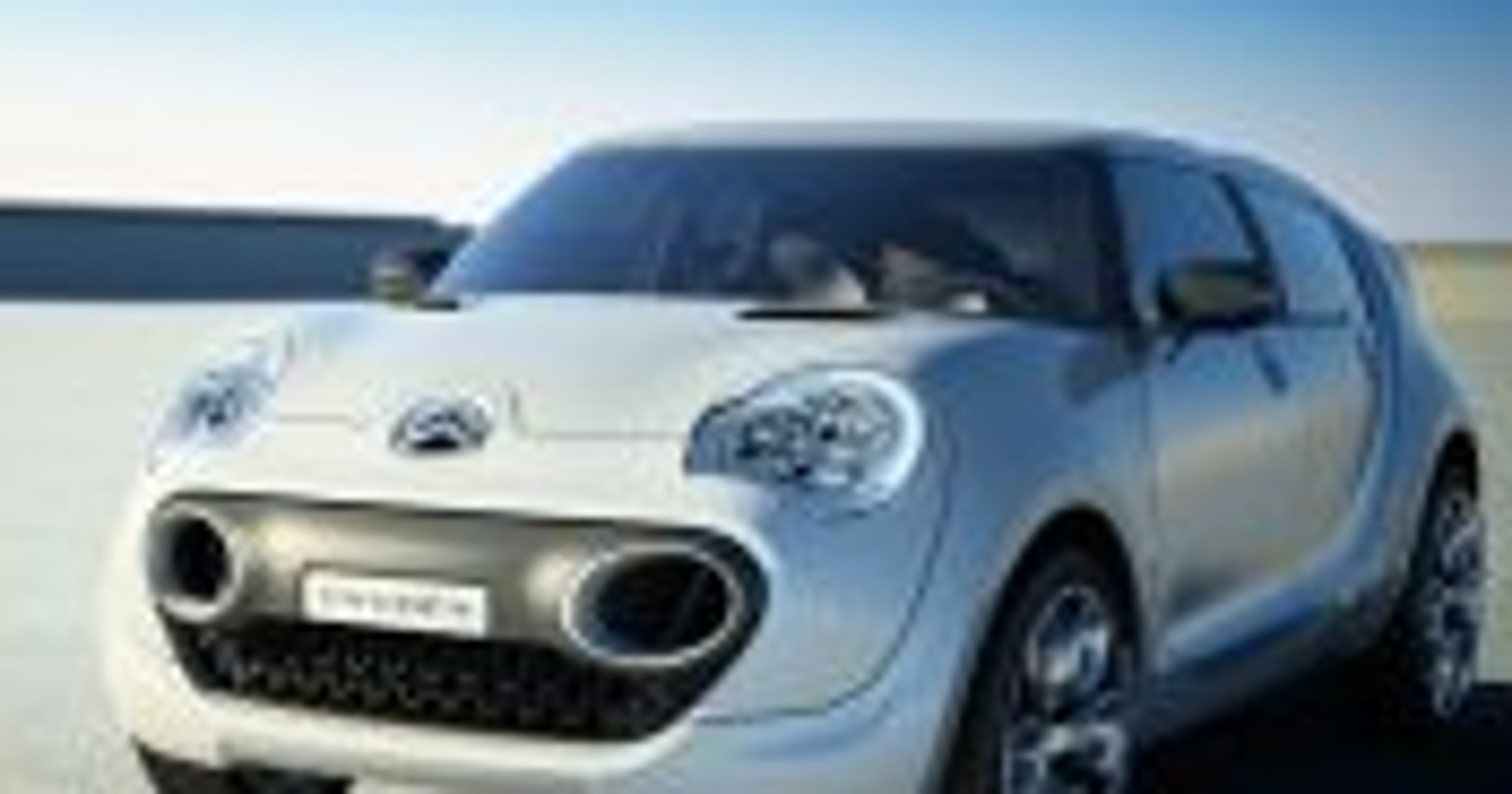 Ekologiczny Kaktus Citroena