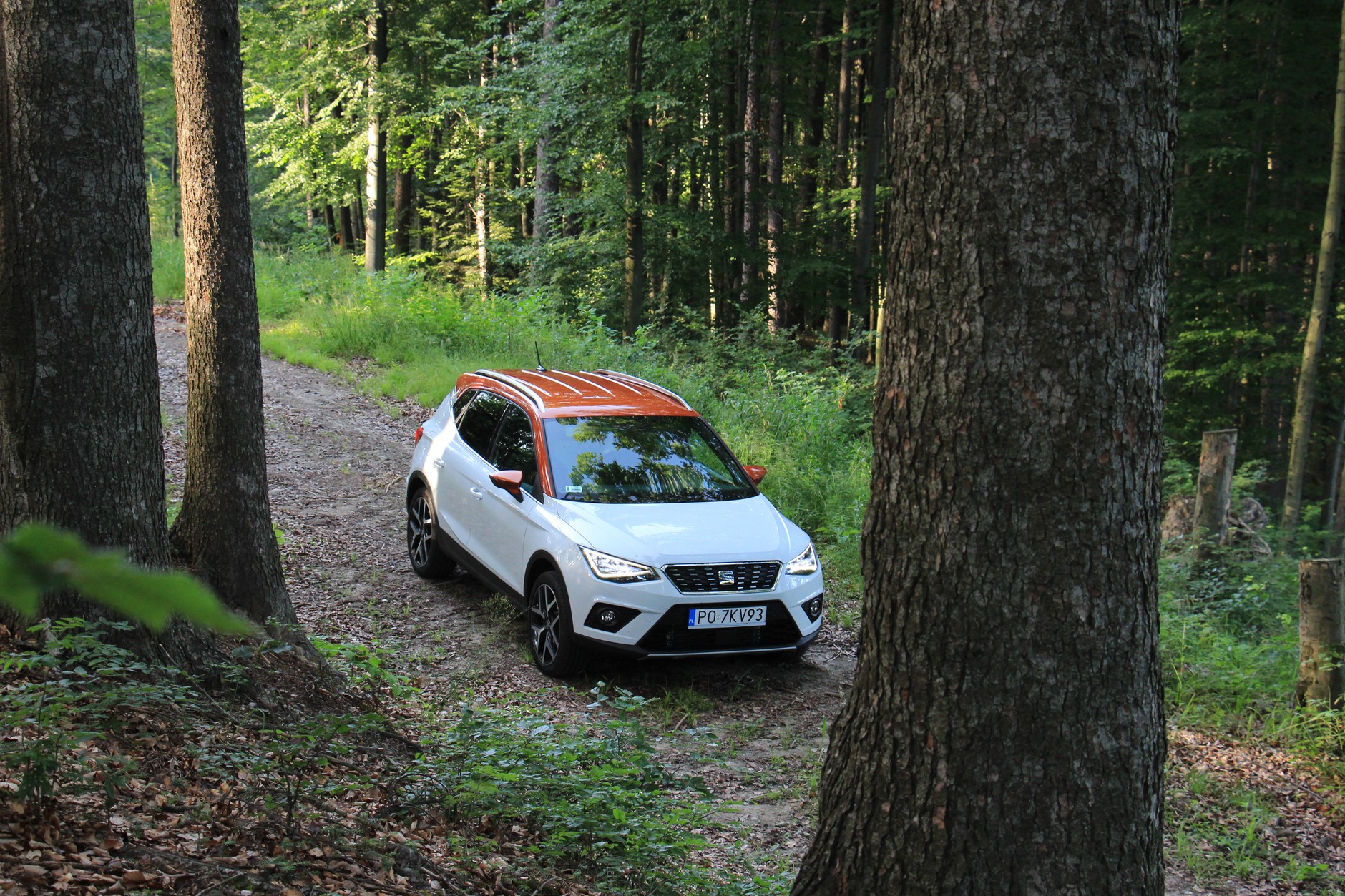 Seat Arona