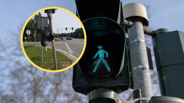 Wystraszył ją pająk. Wjechała w sygnalizację (fot. screen: wejherowo.policja.gov.pl)