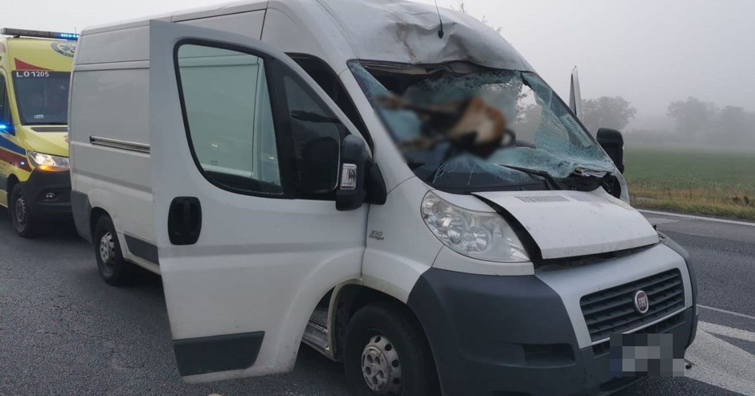 Źródło: lubartow.policja.gov.pl/policja.pl