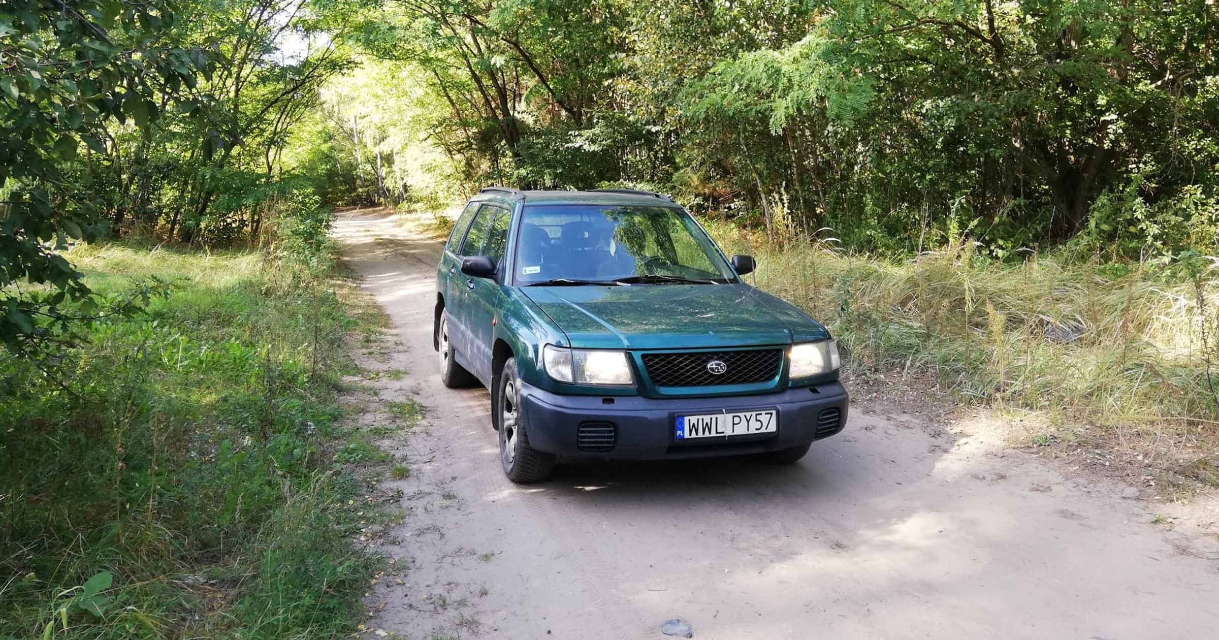 Droga leśna czy polna? 