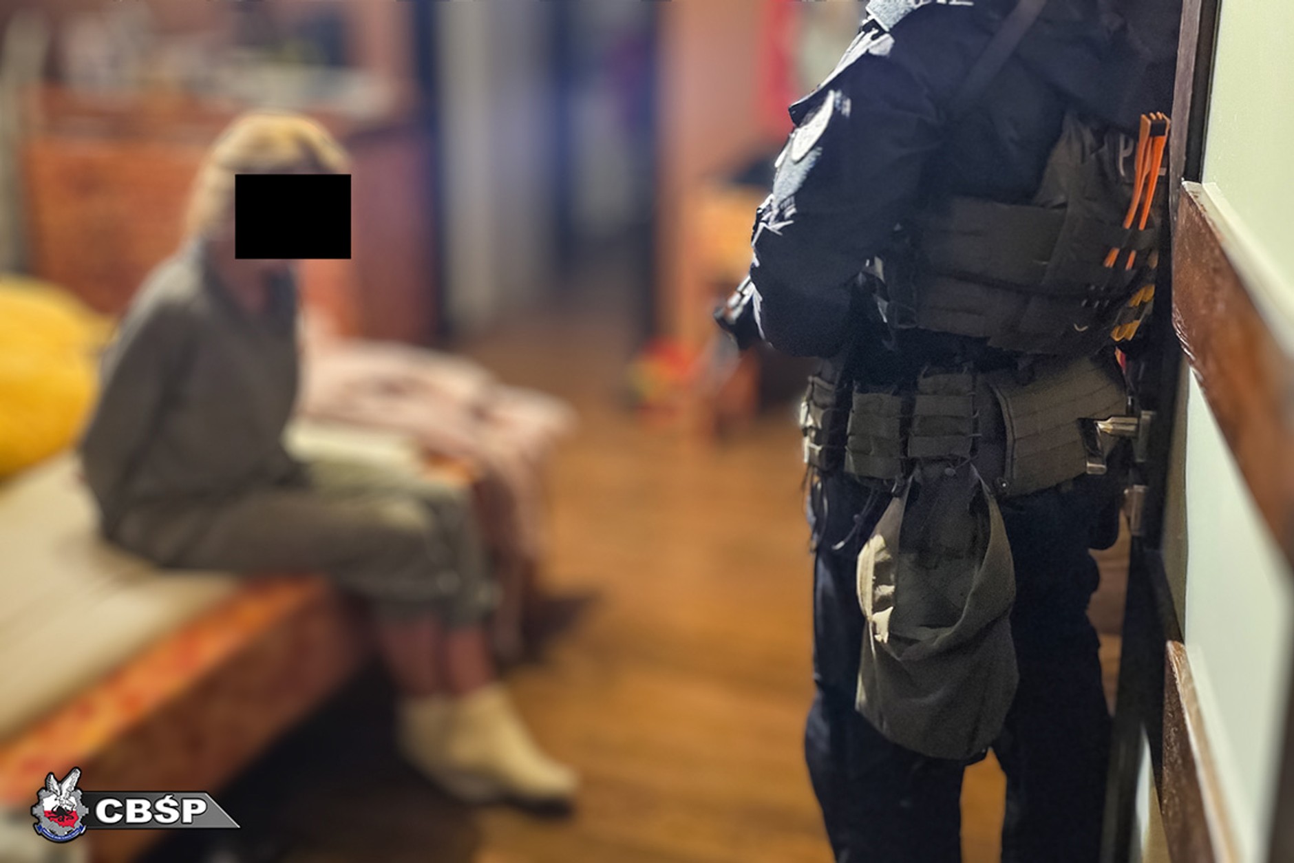 Z okradania tirów uczynili biznes. Niebezpieczny gang rozbity