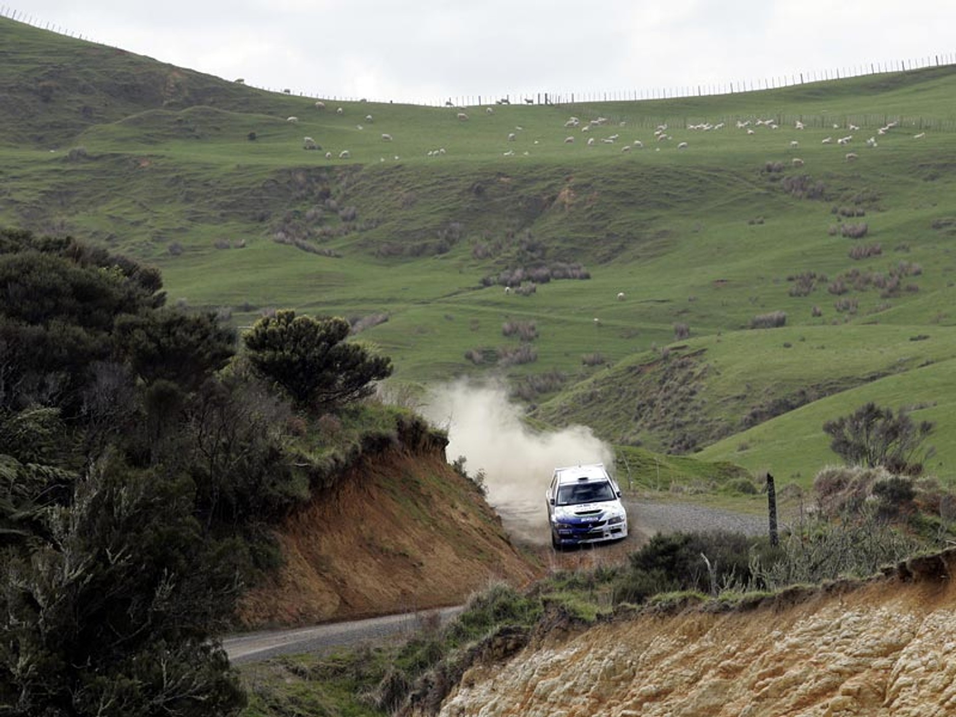 Rajd Nowej Zelandii 2007 - fotogaleria