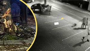 Z impetem zjechał z drogi. Pieszych uratowało potężne drzewo [WIDEO]