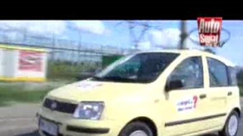 Fiat Panda - Mieszczuch, który prowadzi się najlepiej