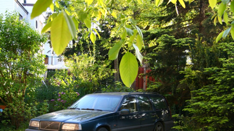 Pielęgnacja auta: Radzimy co robić gdy natura atakuje samochód