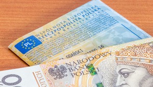 Rząd chce zmienić zasady. Nawet 1000 zł kary dla zapominalskich kierowców
