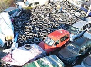 Inspektorzy odkryli szokujące składowisko. Dron latał nad oczkiem wodnym