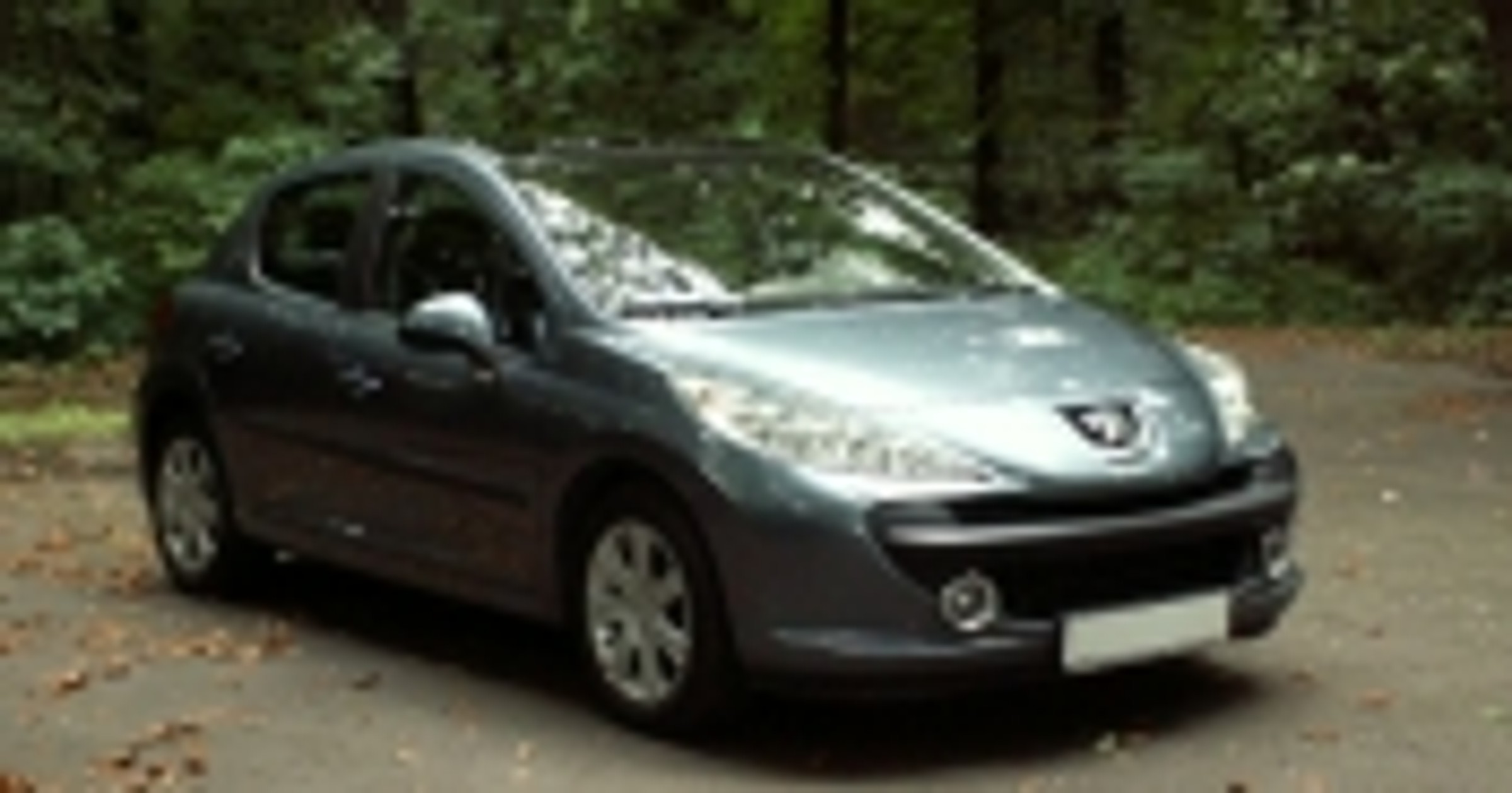 Młodzieniec z rodziny Peugeot