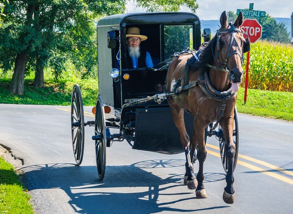 Driftująca dorożka, czyli "Fast and Amish"